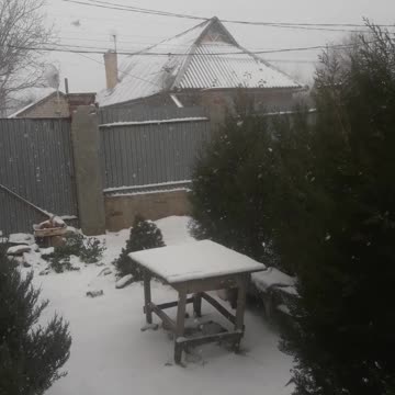 Snowy Garden