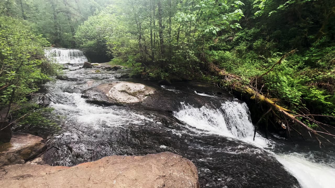 SHORELINE PERSPECTIVE of Tiered Lower McDowell Falls! | McDowell Creek County Park | Oregon | 4K