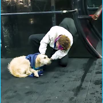 Humans like him are a gem of the society!