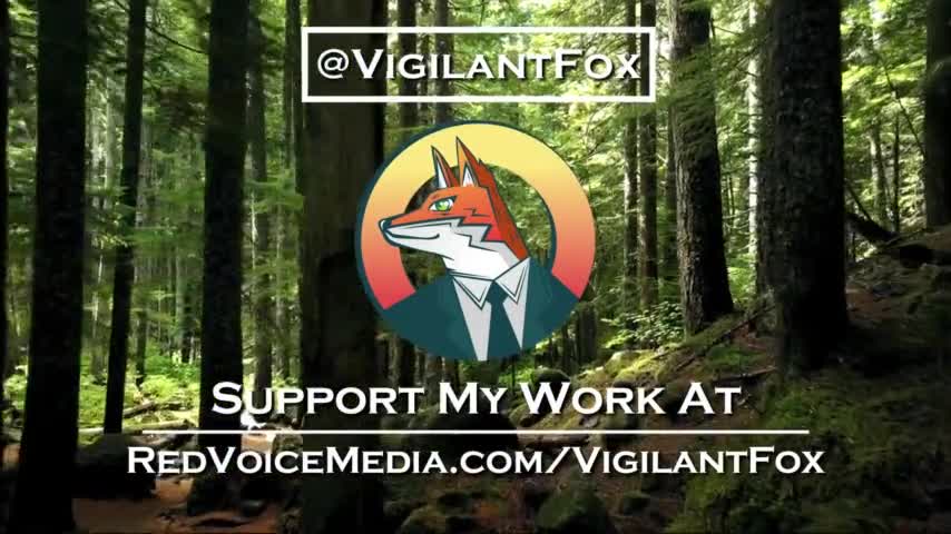 Del Bigtree Responds to Calls for Amnesty: "When You're Ready to Repent, I'm Ready to Forgive"