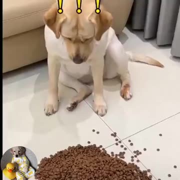 You say you love me but troll me every day 😒😒