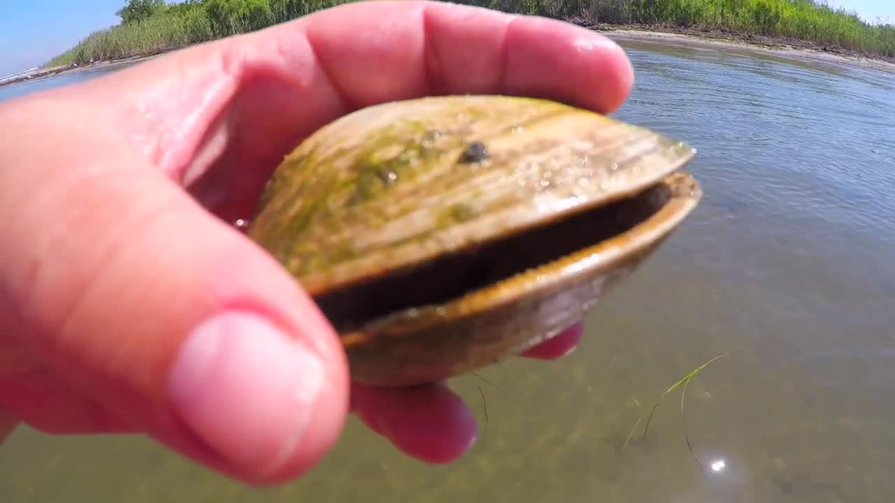 I Found Giant Crystal Holographic Diamond Pearl buried in sea