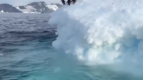 Nature lover 7