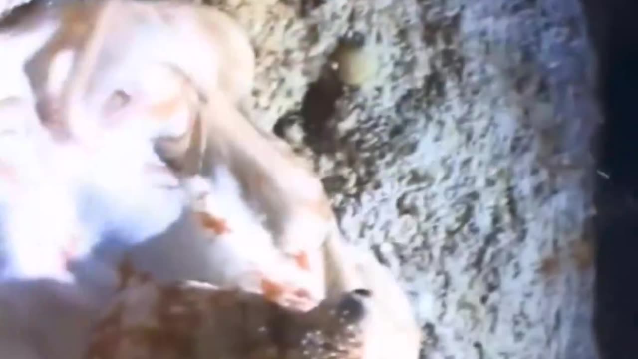 What is the depth of the sea ⛵