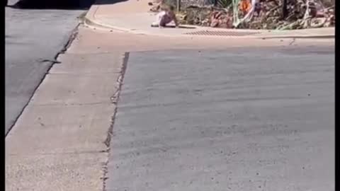 This Guy found a lost baby in the street 😳 😢