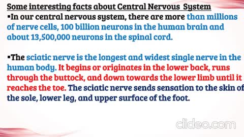 Interesting facts about CNS