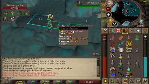 Zenyte Shard :D [13-6-2020]