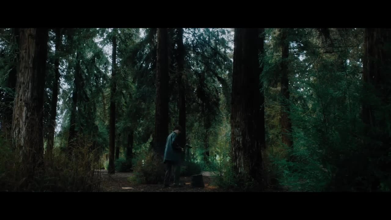 David kushner - Daylight (unofficial music video)