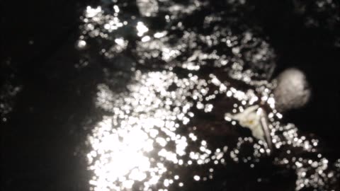 Zvezdopad - Pesni teh vremjon («Звездопад», 2002)