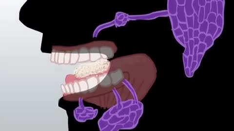 Digestive System | How The Digestive System Works | Animated Music Video |