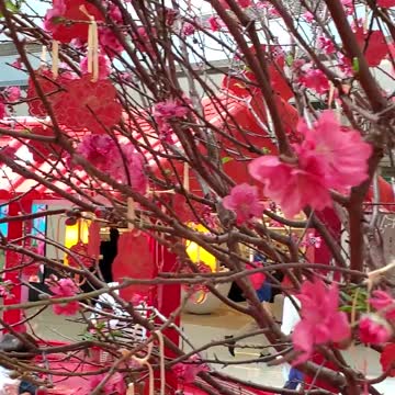 Chinese New Year deco