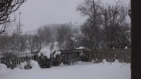 2010 Dec Snow NE Scotland