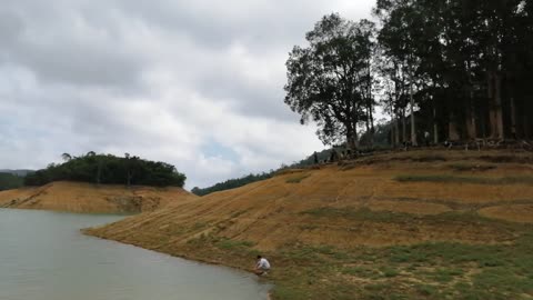 Walk at forets shing mun country pak hongkong