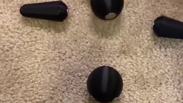 "It looks interesting "