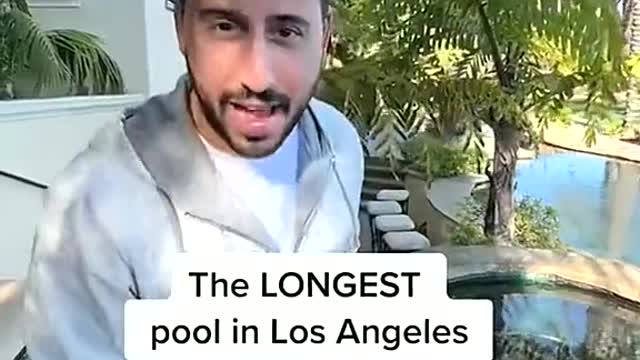 The LONGEST pool in Los Angeles
