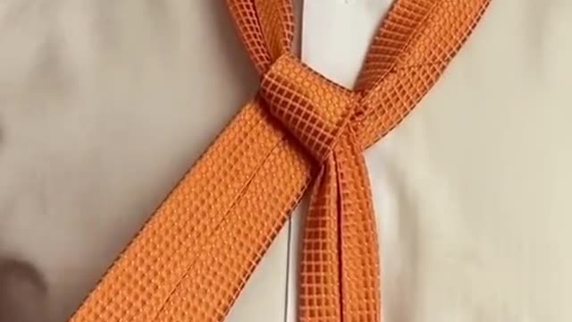 knot tying for dummies