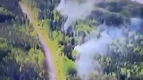 How Lightening causes Forest Fires - Wink, Wink