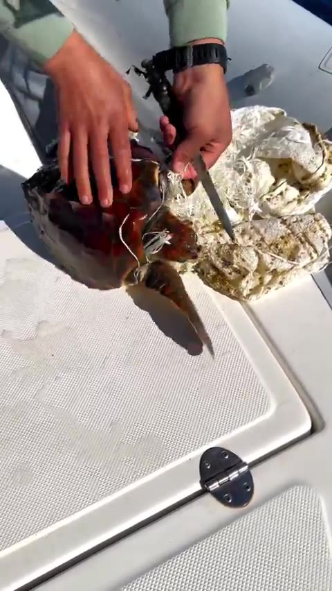 Empathy is a White man's innate characteristic