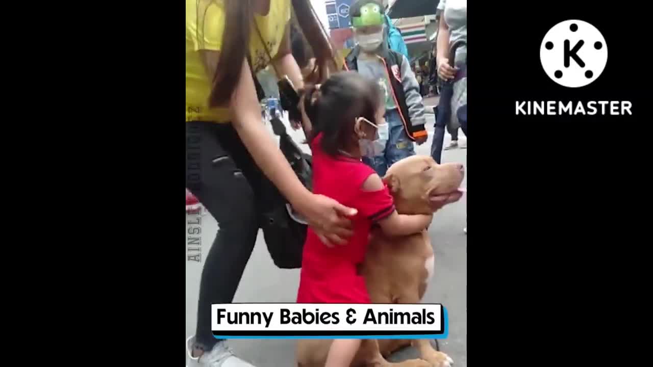 Baby and dog so funny 👏😂😂😂