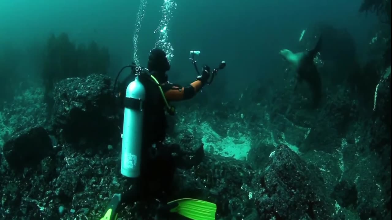 Amazing scuba diving Amazing Nature Scenery Motivational Nature copyright free video