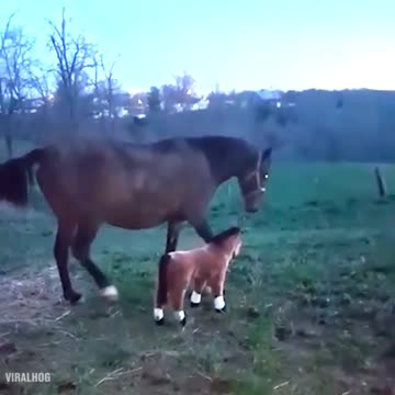 Stop messin' with me