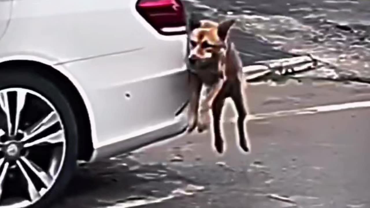Funny video #viralfunny #viral #funnyvideo