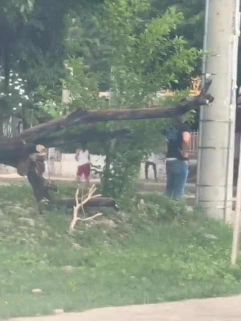 PELEA DEL INFLUENCER PARAKA 2000 -HOMICIDIO CTG