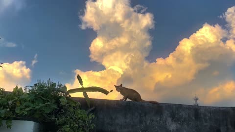 It's a gift from heaven