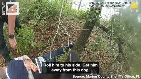 “DON'T FIGHT MY DOG!:” Crook Resists Florida Police Dog, Fails Epically