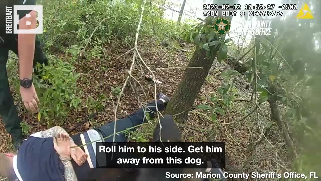 “DON'T FIGHT MY DOG!:” Crook Resists Florida Police Dog, Fails Epically