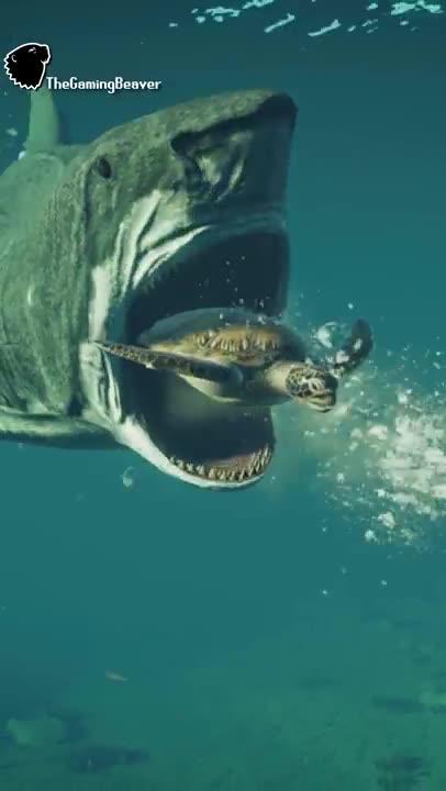 Megalodon Swallows Turtle Whole!!!