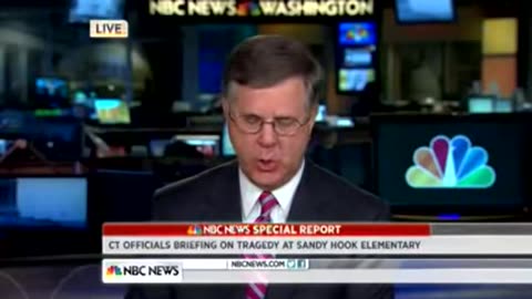 'Gun Inconsistencies In Sandy Hook School Mass Shooting'