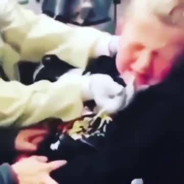 Serial Killer Medical Torturing the Kids