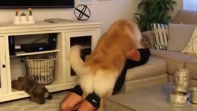 Do you envy the daily dog riding?