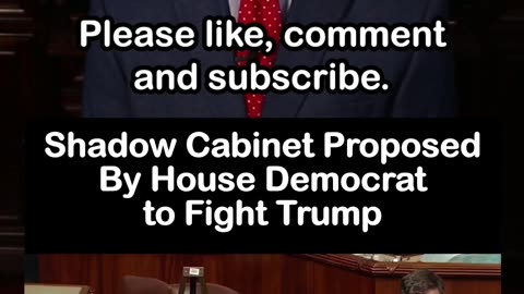 Shadow Cabinet Proposed By House Democrat to Fight Trump