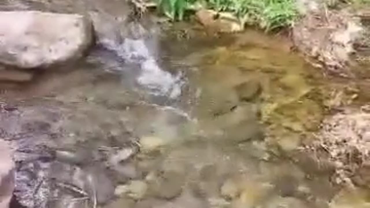 Running water in a small valley in Morocco