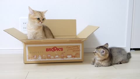 It's my box