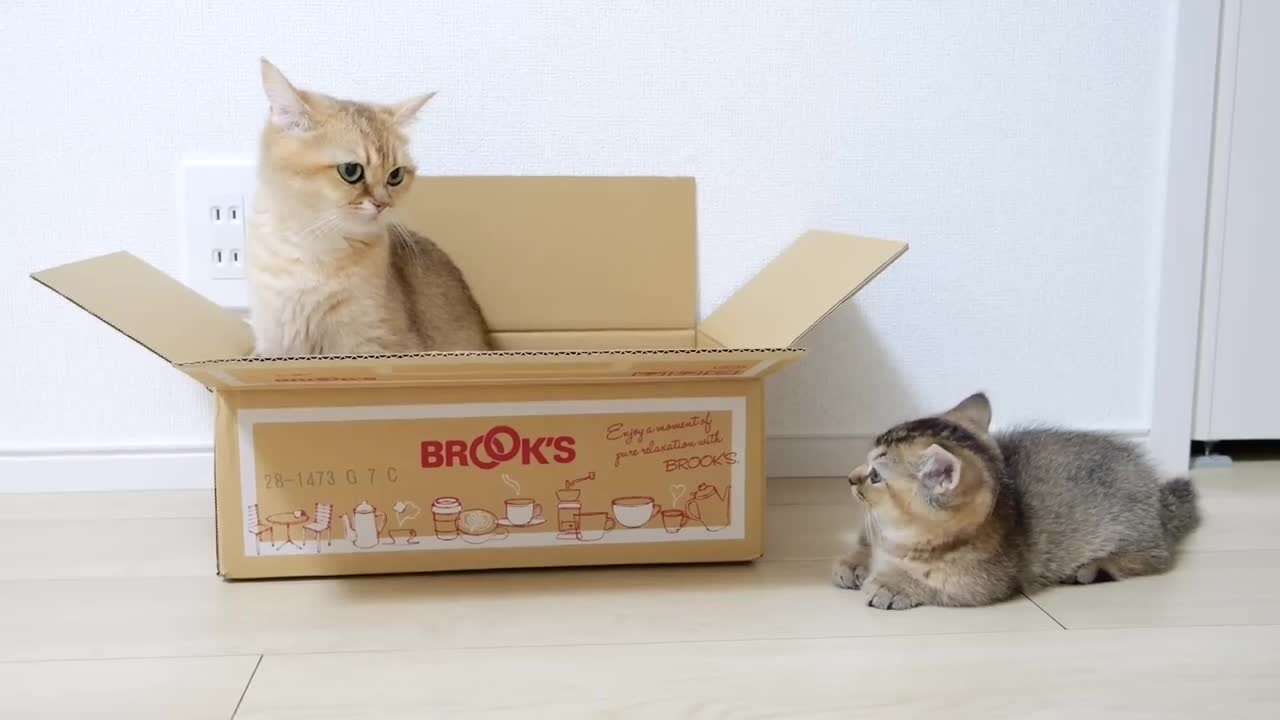 It's my box