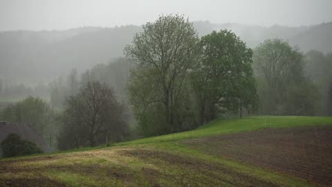 Rain HD for 2 hours 2 minutes 2 seconds and 2 milliseconds - Long Videos