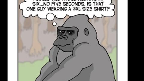 Random Memes 537