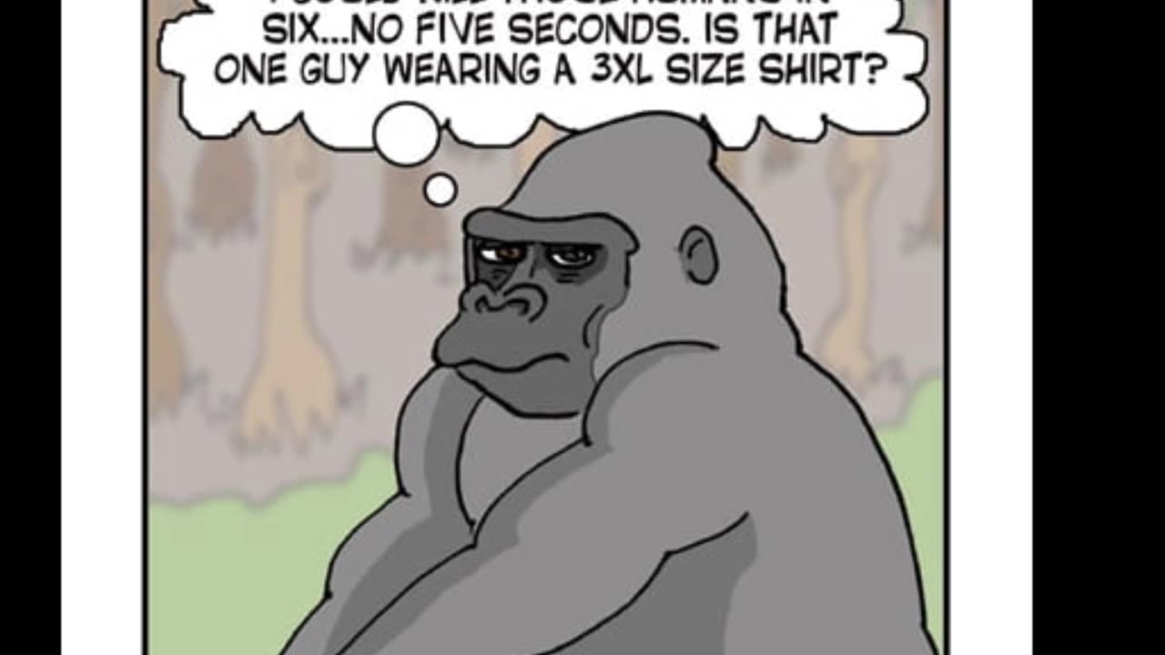 Random Memes 537