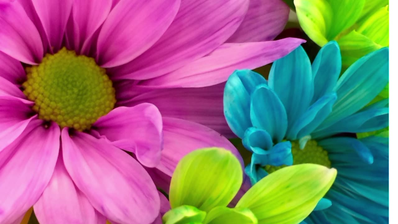 Nature's beauty, nature related