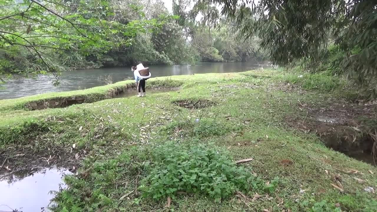 Hunting wild fish | Catch a lot of fish in the wild lake by using the big pump to suck the water-5