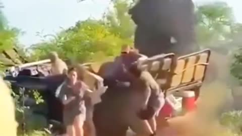 OMG😱Elephant angry Attack the tourism😳😳 