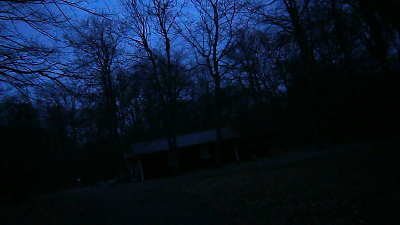 I Pålsjö skog om kvällen, Helsingborg 18 Mars 2014