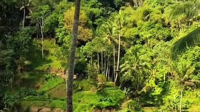 5 Must DoActivities in Bali