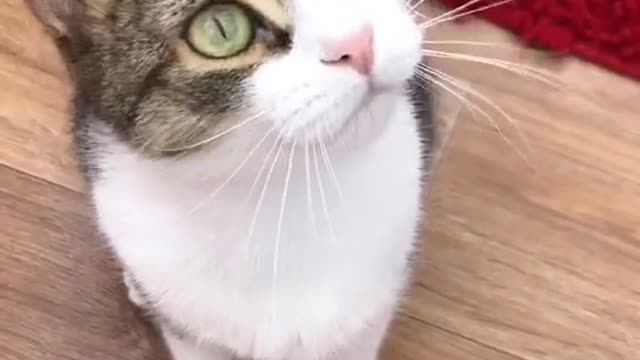 У вас тоже есть странные имена😸