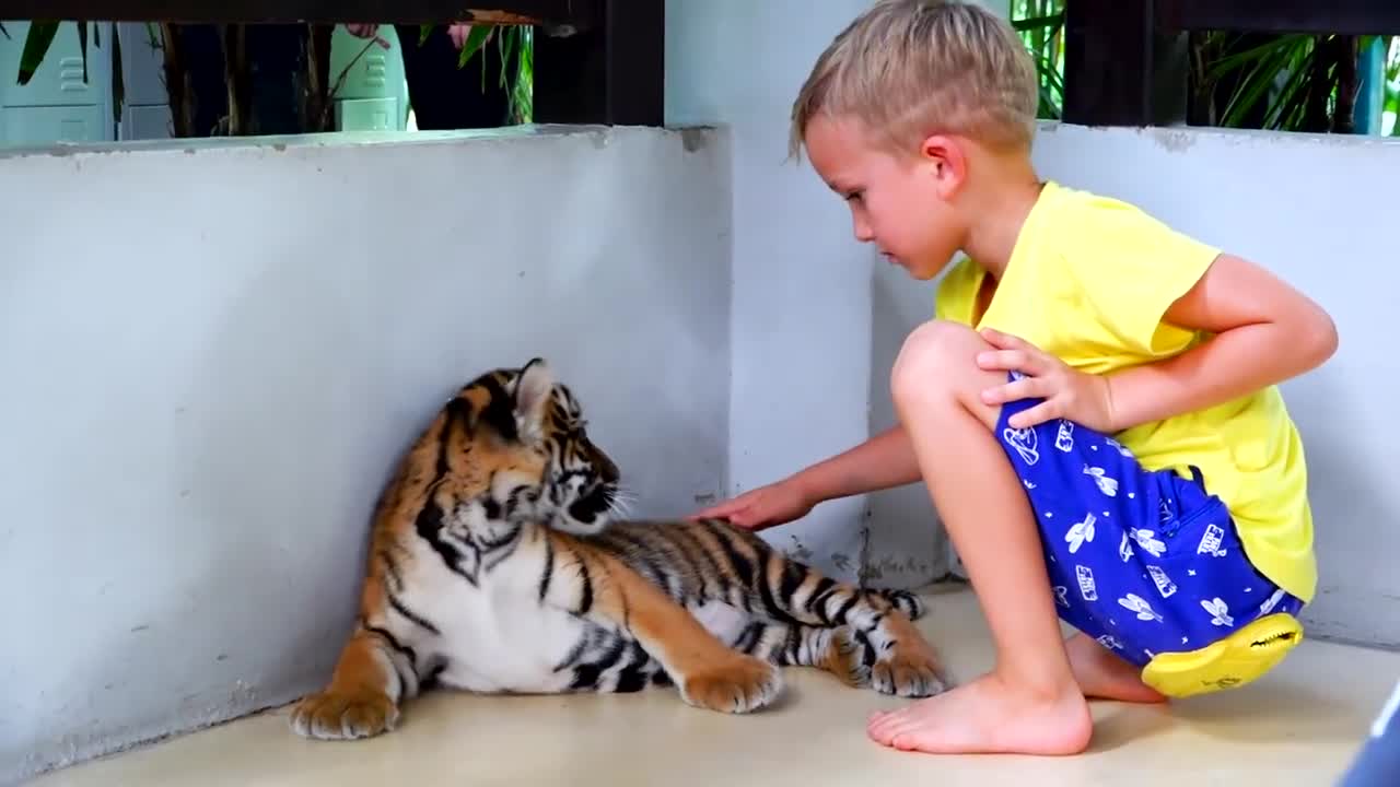 Vlad and Mama at sleeping tiger farm