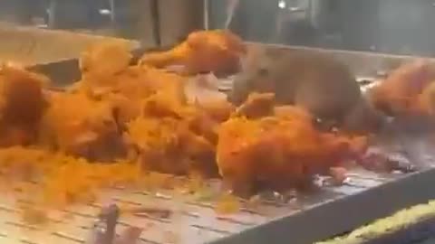 Normal day in NYC