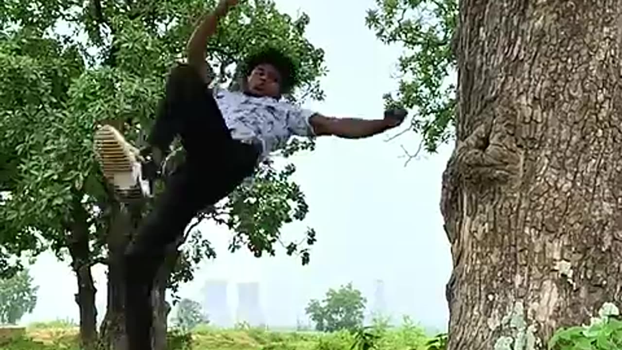 Save the tree
